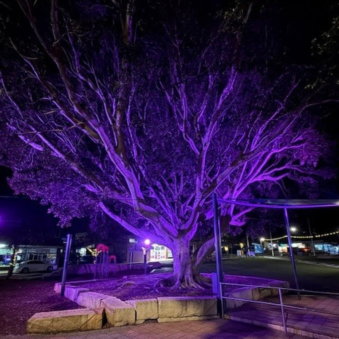 gallery-Tree RGB